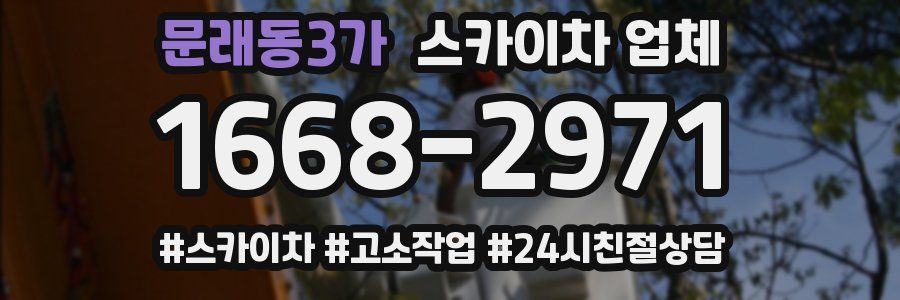 문래동3가 스카이차 업체