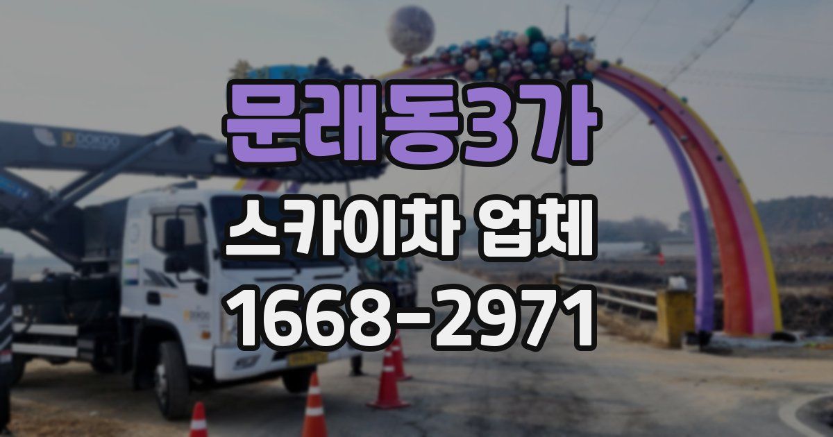 문래동3가 스카이차 업체