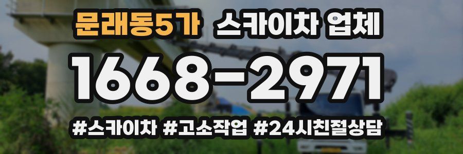 문래동5가 스카이차 업체