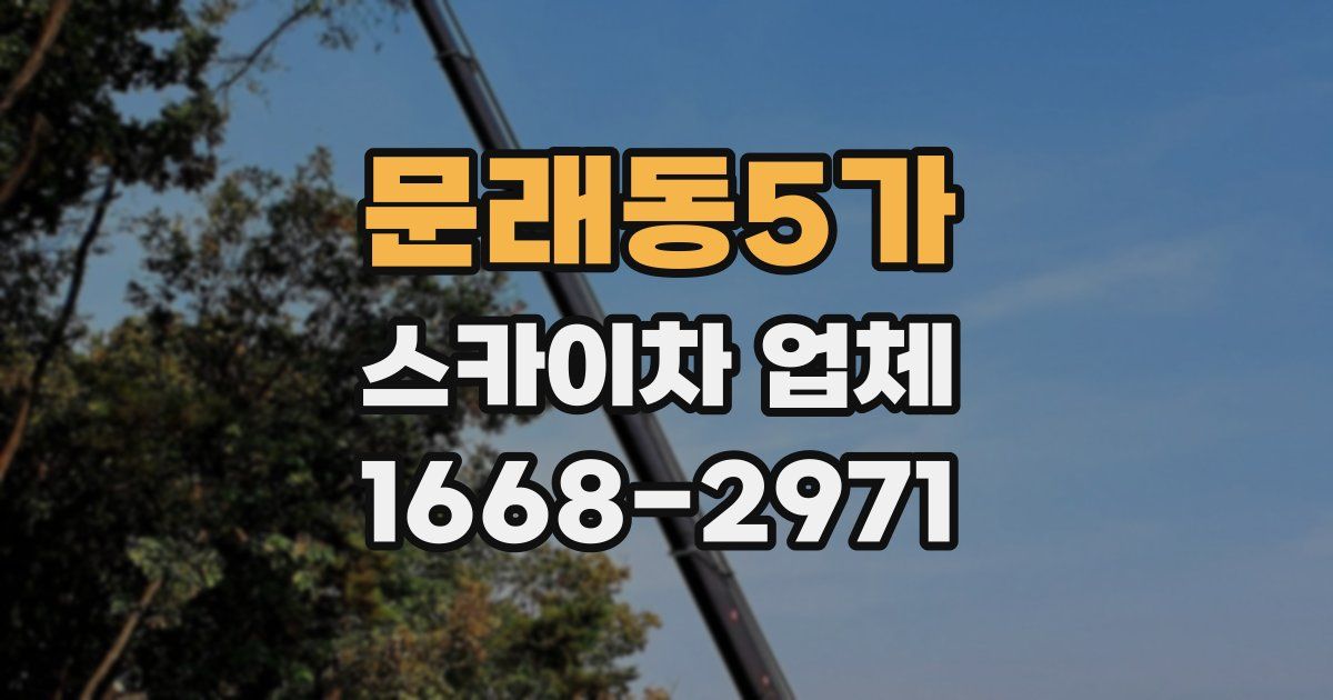 문래동5가 스카이차 업체