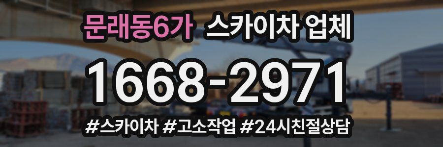 문래동6가 스카이차 업체