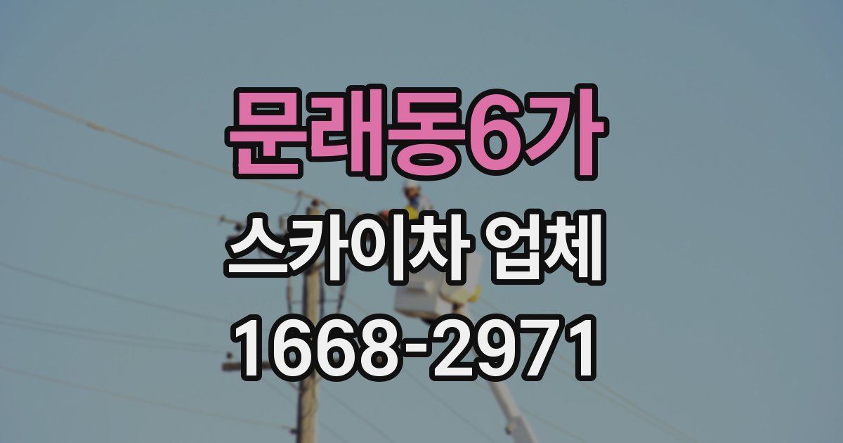 문래동6가 스카이차 업체