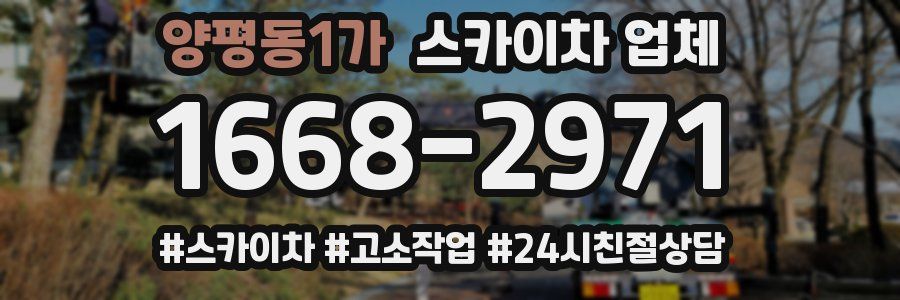 양평동1가 스카이차 업체
