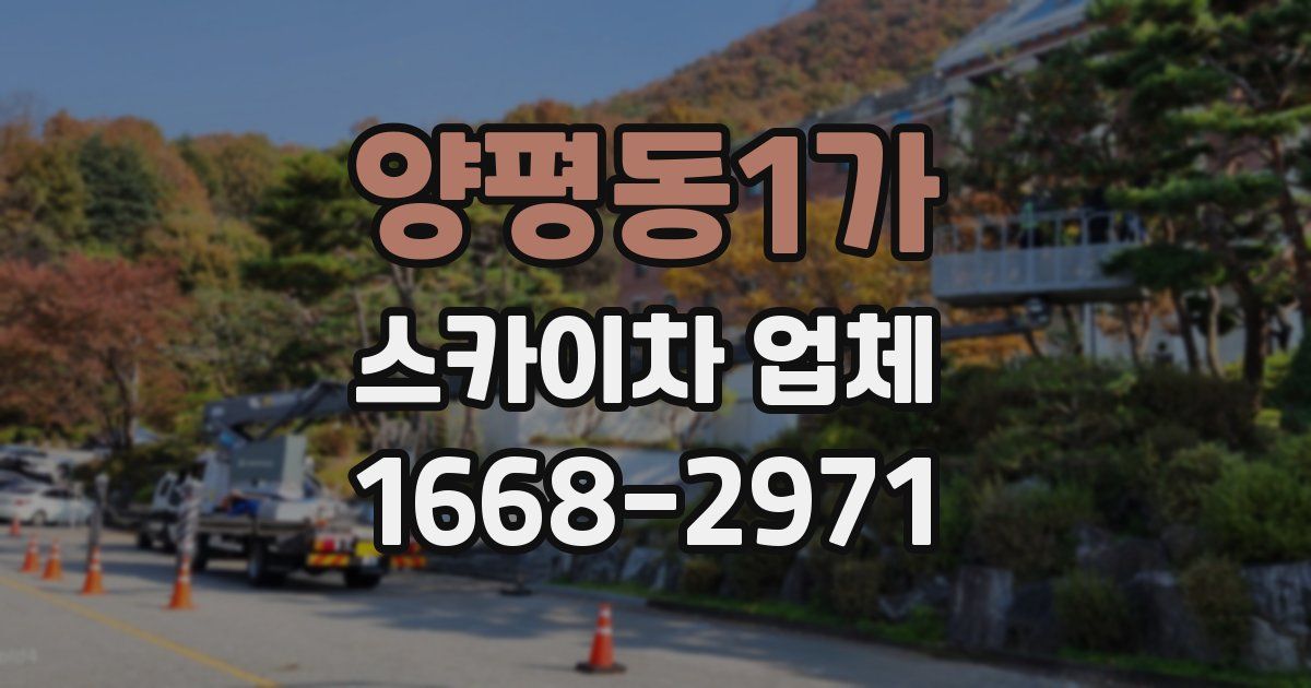 양평동1가 스카이차 업체