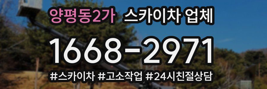 양평동2가 스카이차 업체