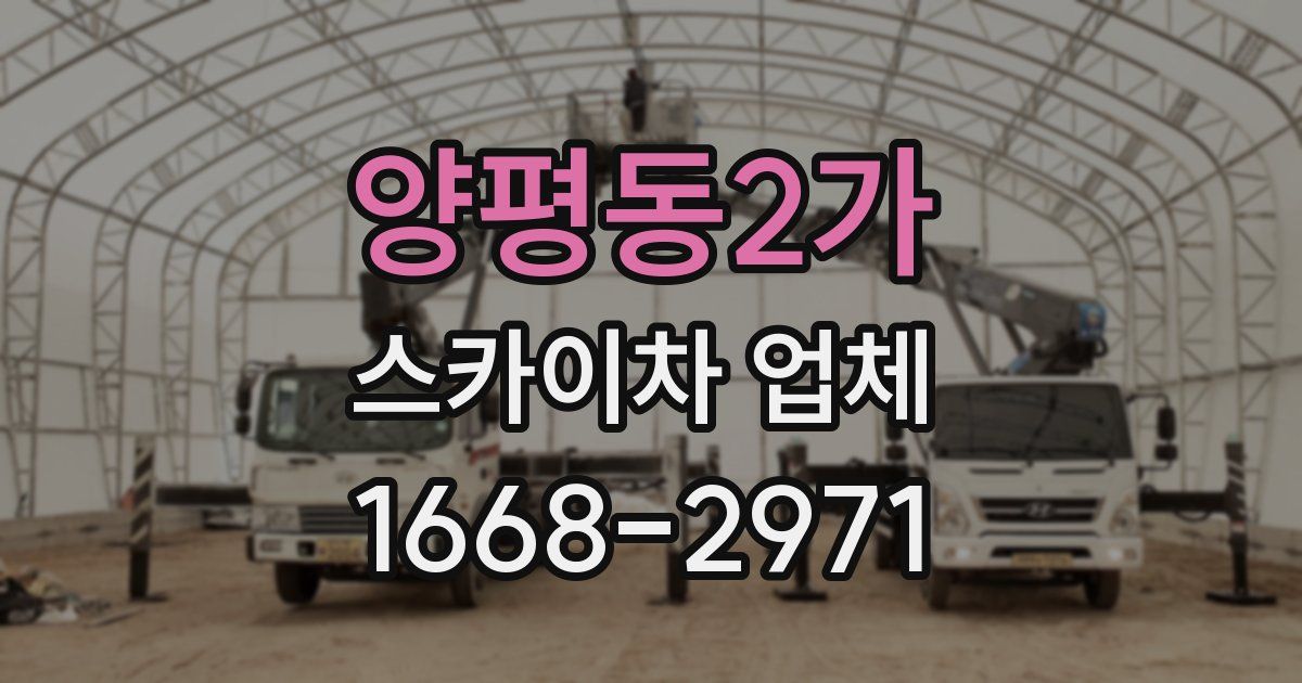 양평동2가 스카이차 업체