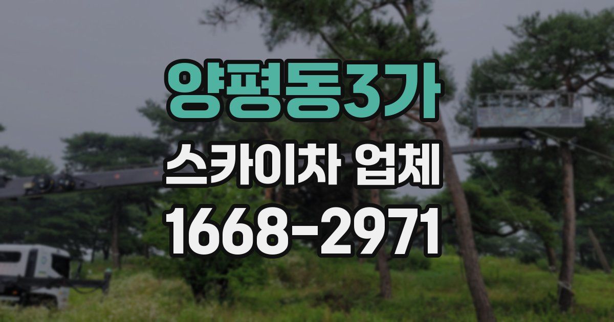 양평동3가 스카이차 업체