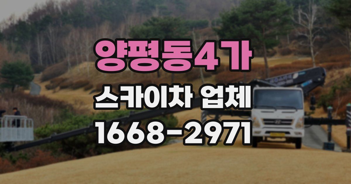 양평동4가 스카이차 업체