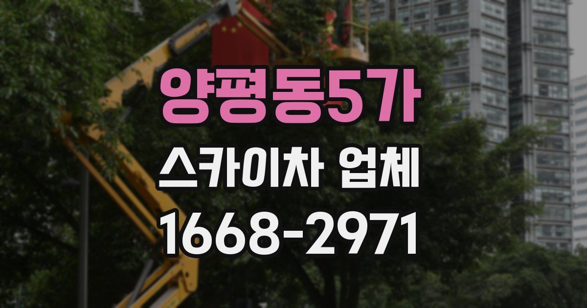 양평동5가 스카이차 업체