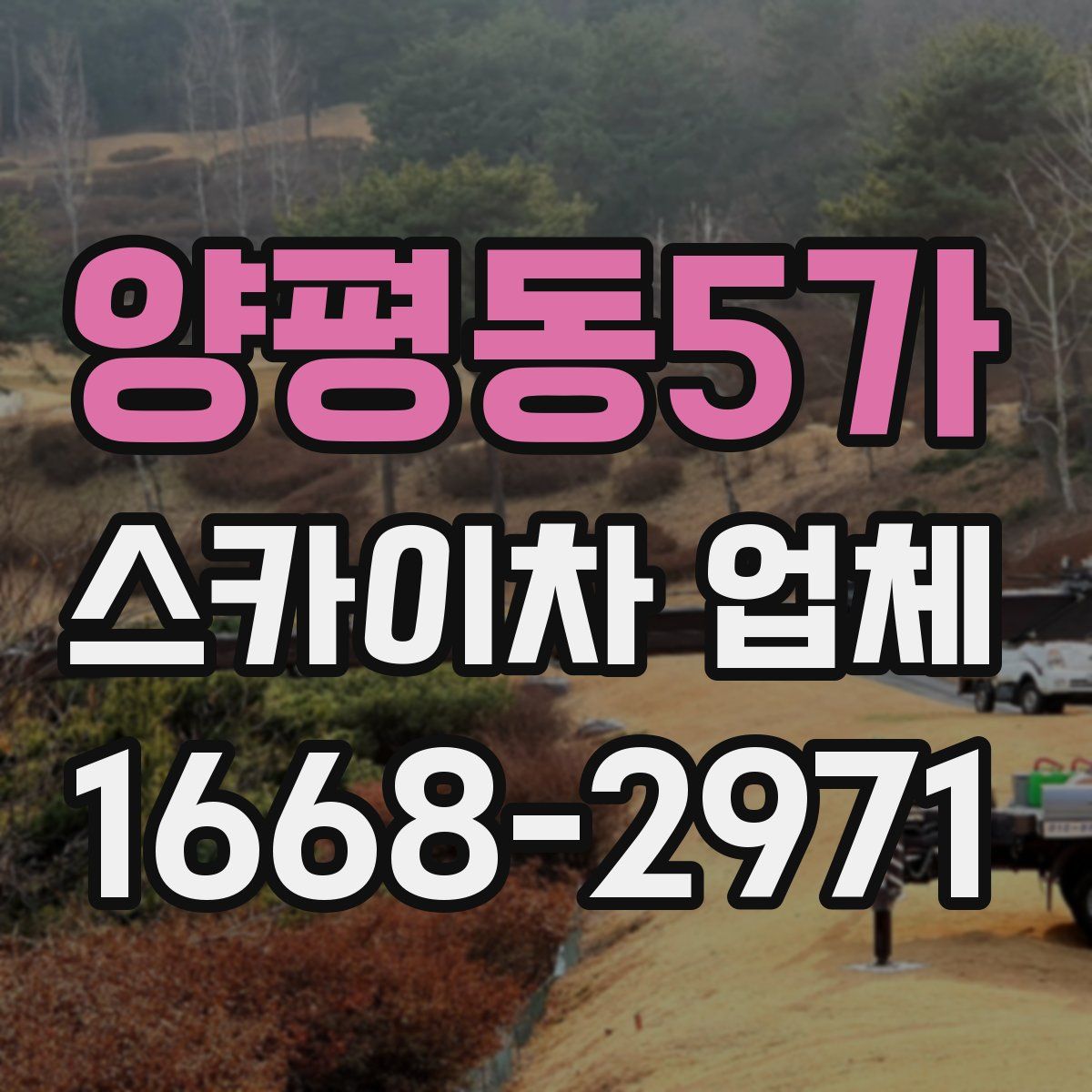 양평동5가 스카이차 업체