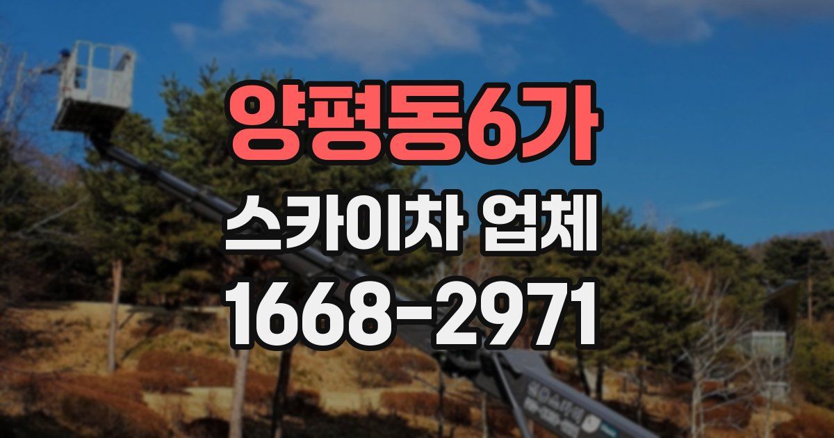 양평동6가 스카이차 업체