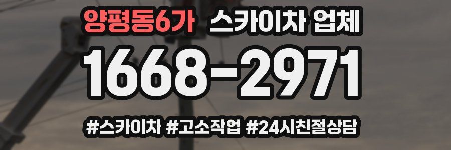 양평동6가 스카이차 업체