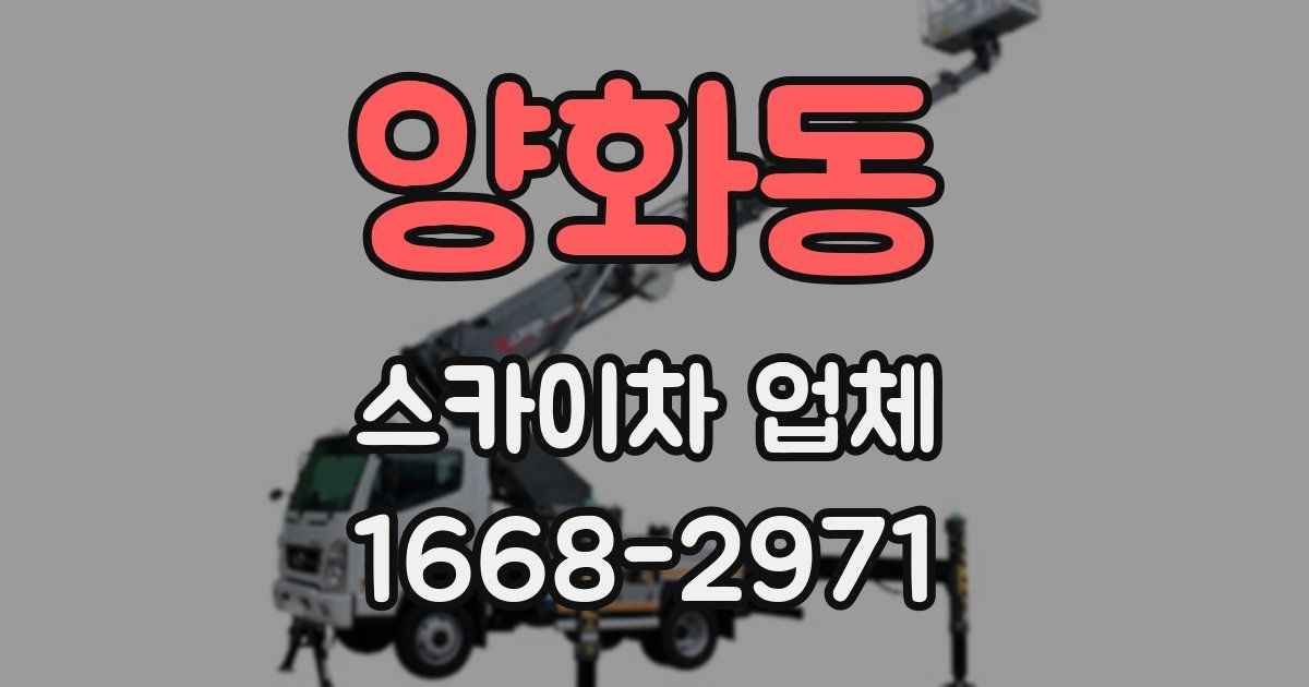 양화동 스카이차 업체