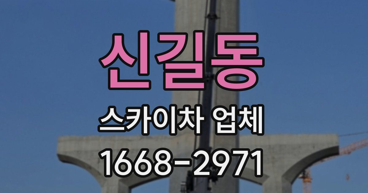 신길동 스카이차 업체