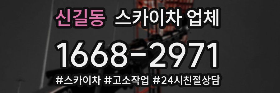 신길동 스카이차 업체