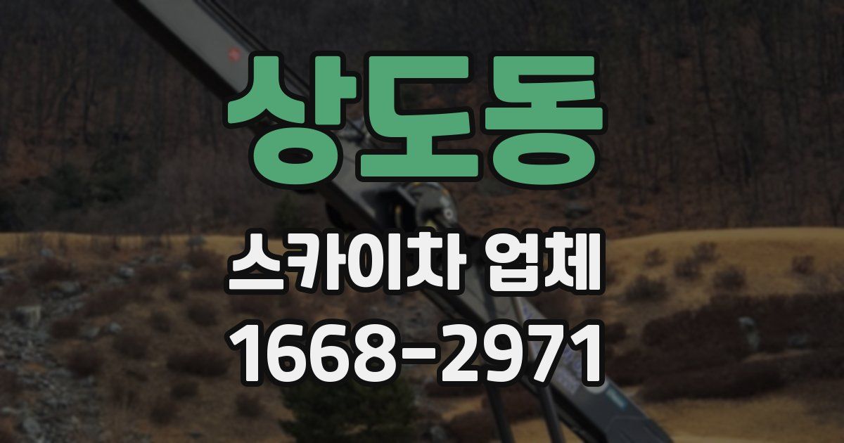상도동 스카이차 업체