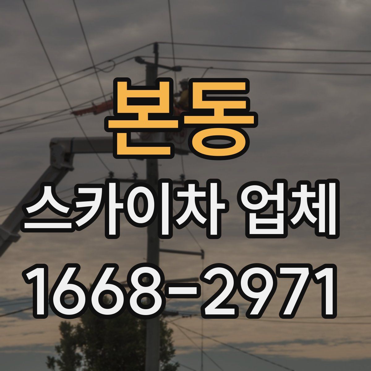 본동 스카이차 업체