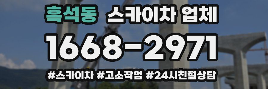흑석동 스카이차 업체