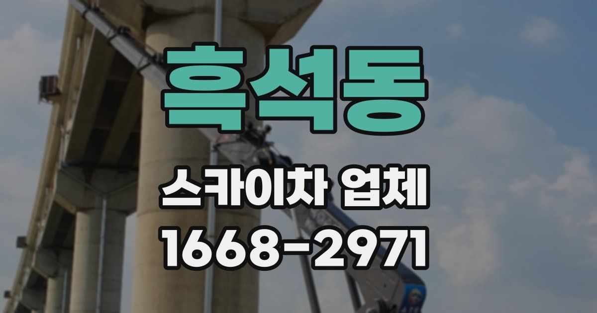 흑석동 스카이차 업체
