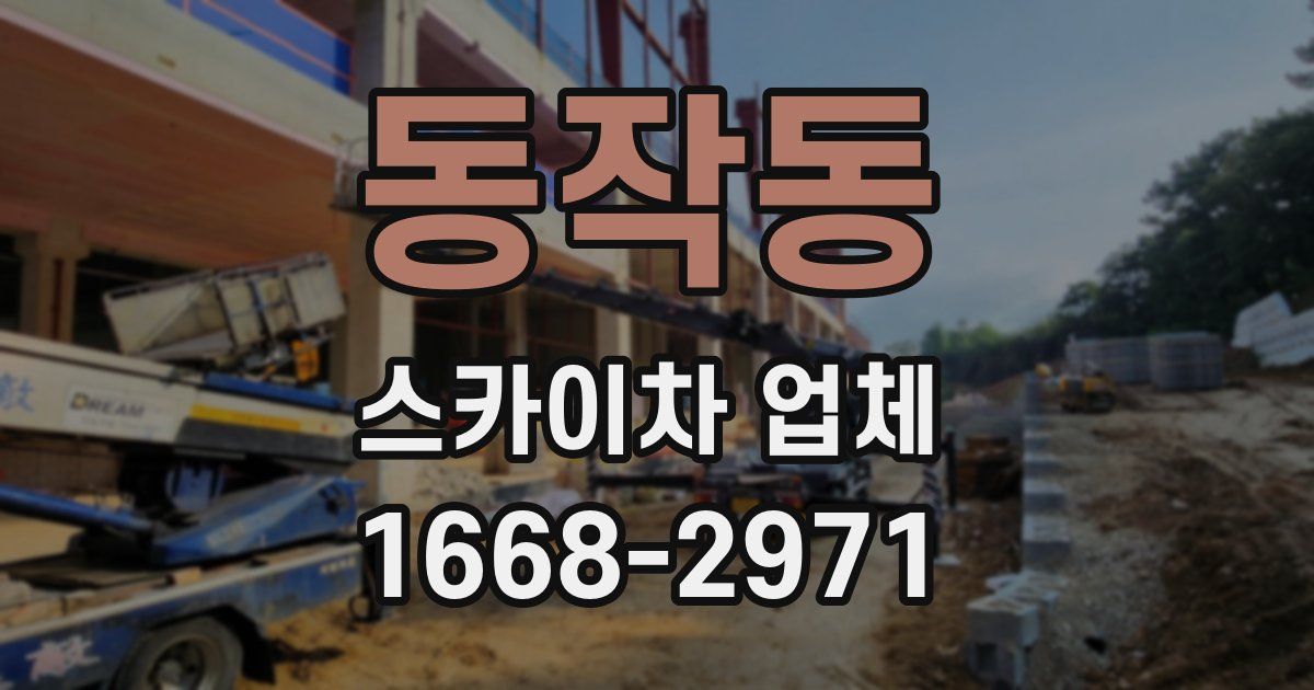 동작동 스카이차 업체