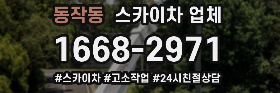 동작동 스카이차 업체
