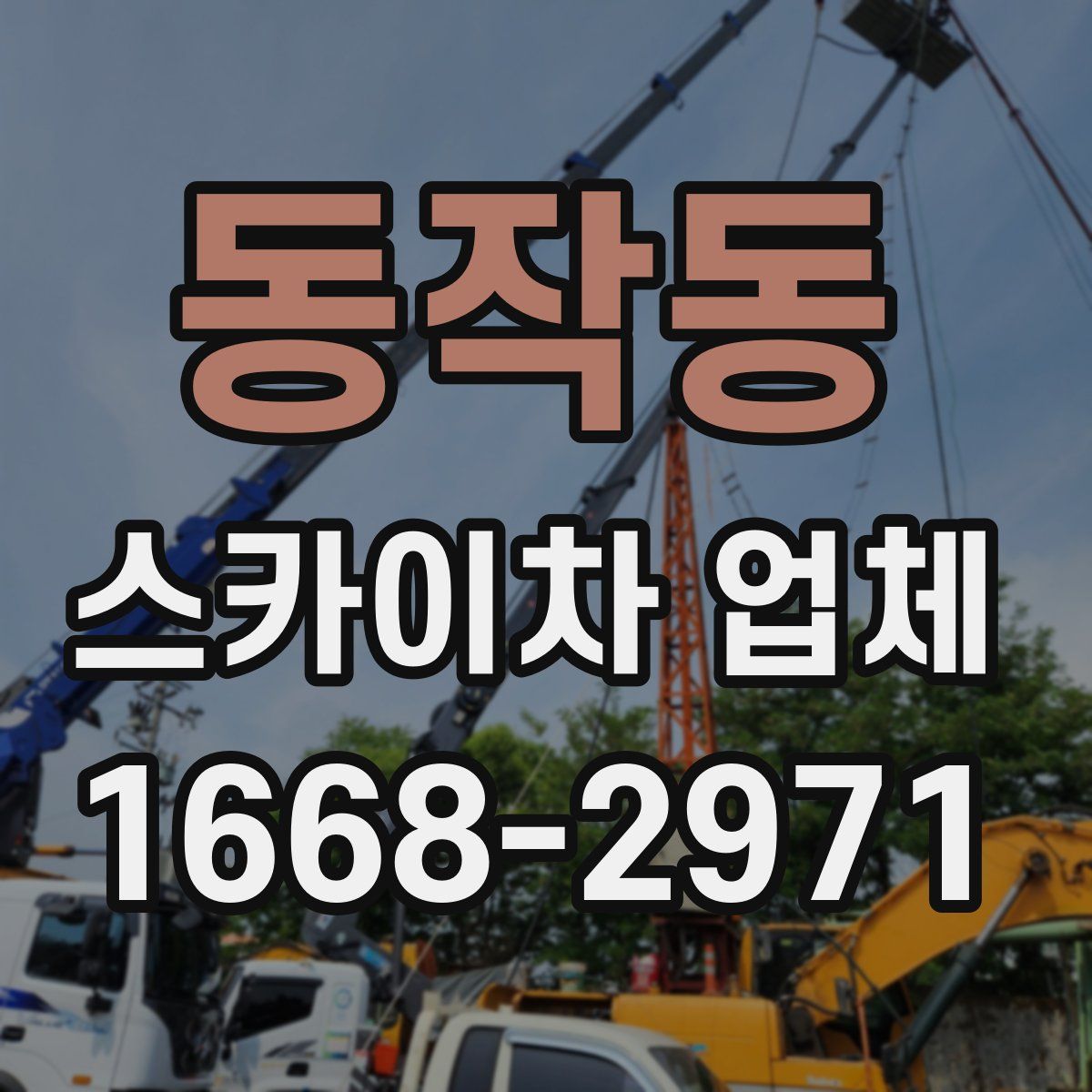 동작동 스카이차 업체