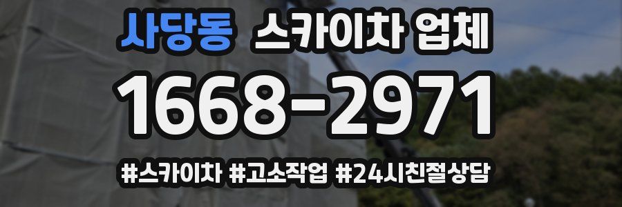 사당동 스카이차 업체