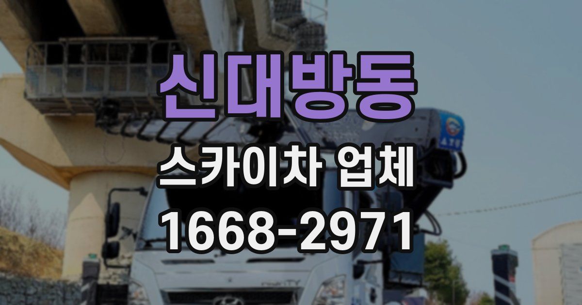 신대방동 스카이차 업체