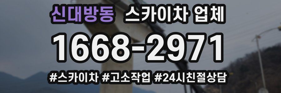 신대방동 스카이차 업체