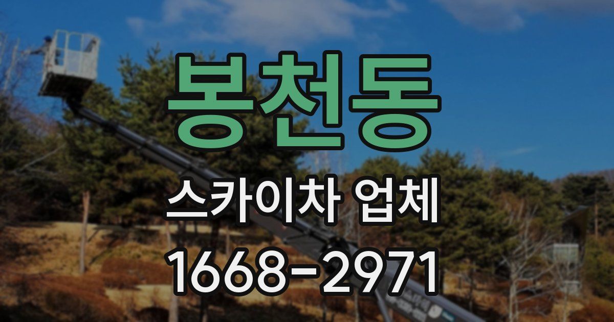 봉천동 스카이차 업체