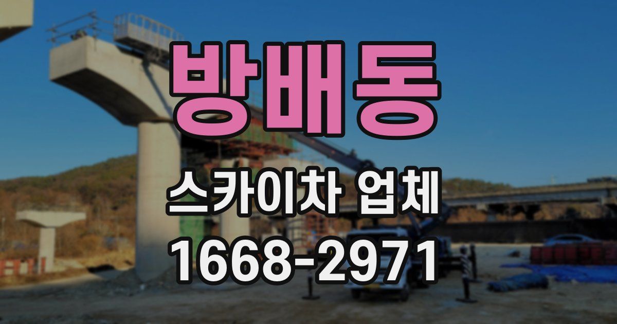 방배동 스카이차 업체
