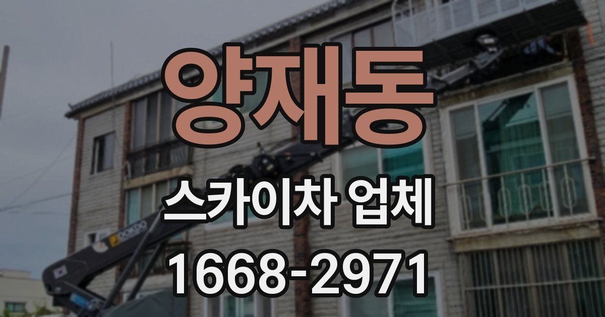 양재동 스카이차 업체