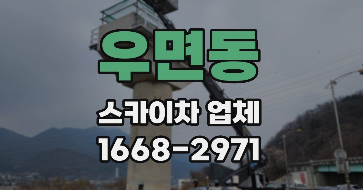 우면동 스카이차 업체