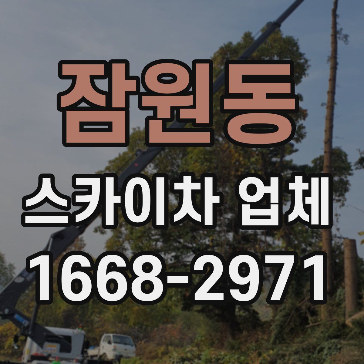 잠원동 스카이차 업체