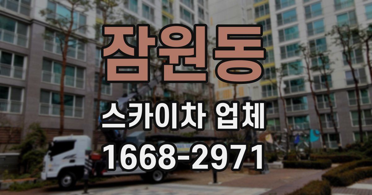 잠원동 스카이차 업체