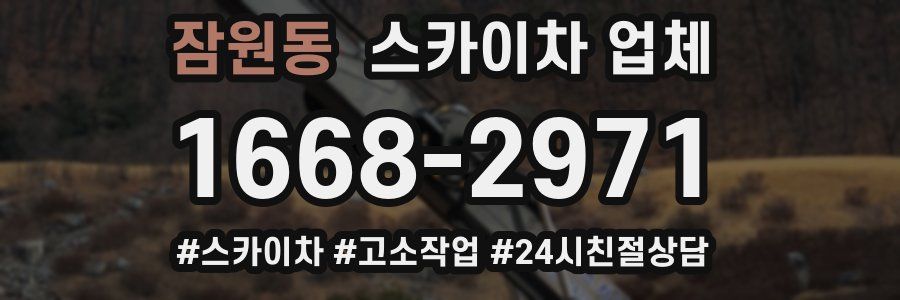 잠원동 스카이차 업체