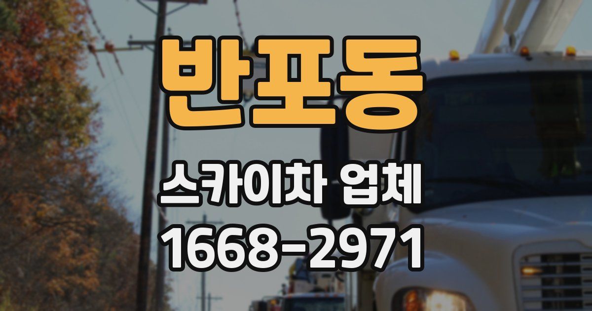 반포동 스카이차 업체