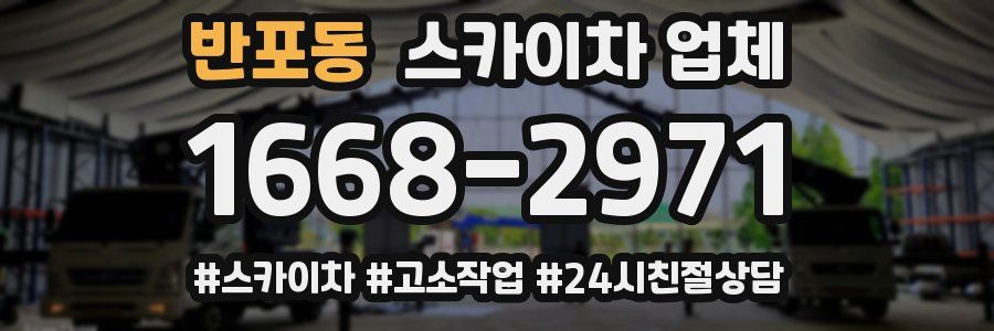 반포동 스카이차 업체
