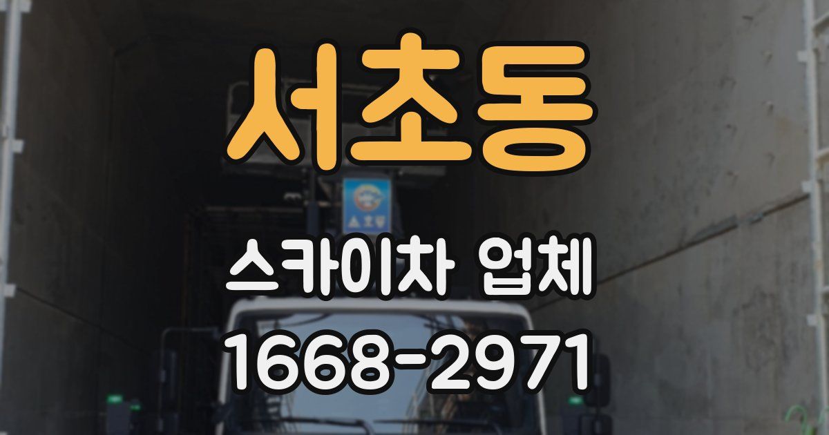 서초동 스카이차 업체