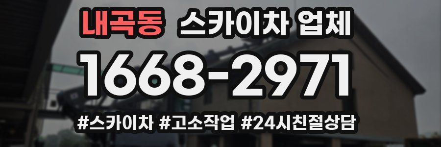 내곡동 스카이차 업체