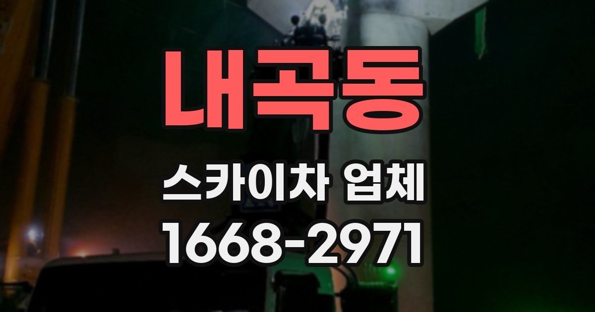 내곡동 스카이차 업체