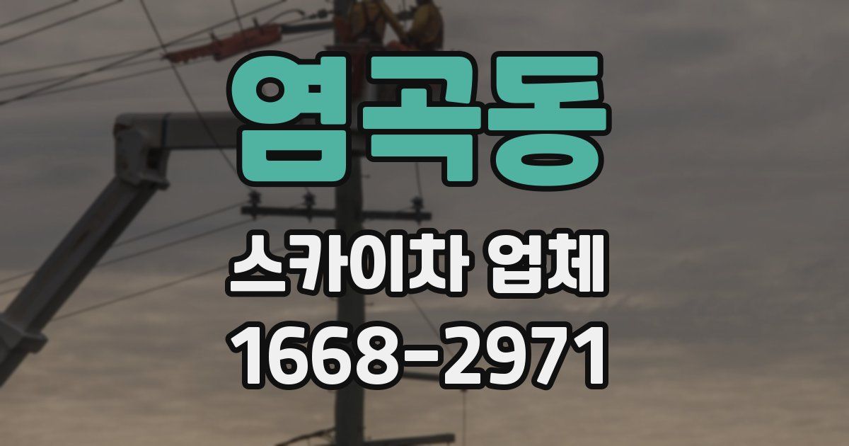 염곡동 스카이차 업체