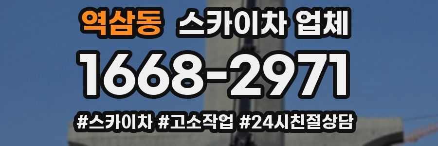 역삼동 스카이차 업체