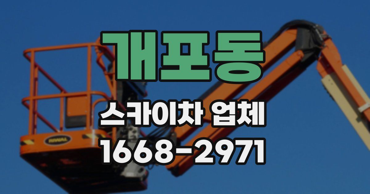 개포동 스카이차 업체