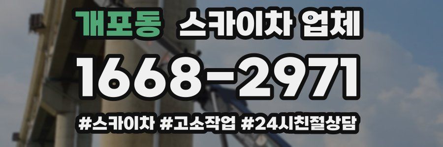 개포동 스카이차 업체