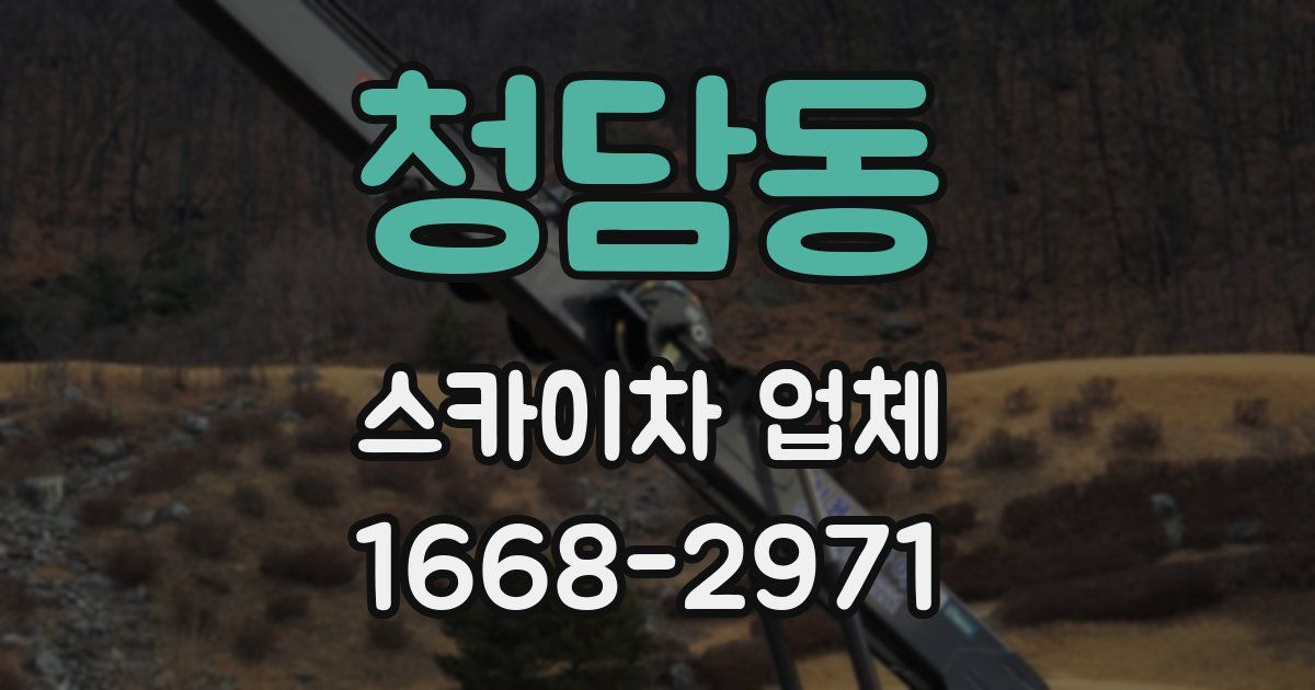 청담동 스카이차 업체