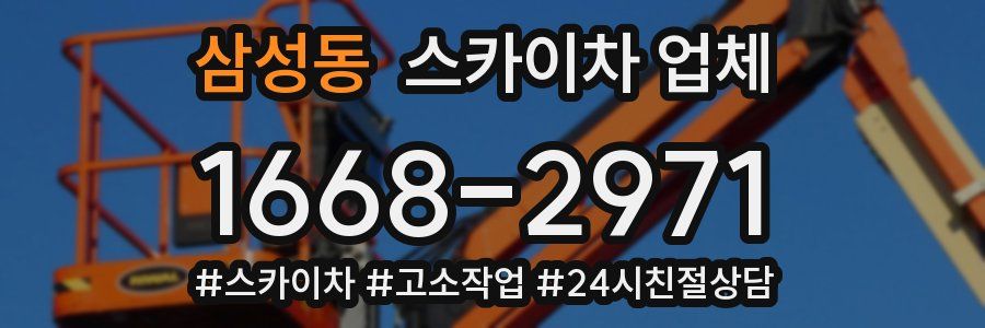 삼성동 스카이차 업체