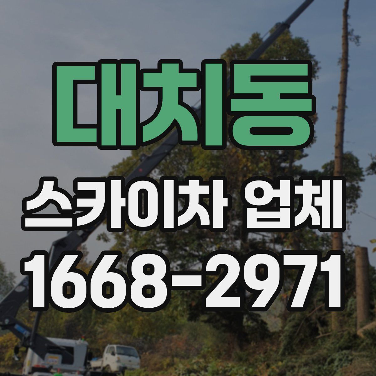 대치동 스카이차 업체