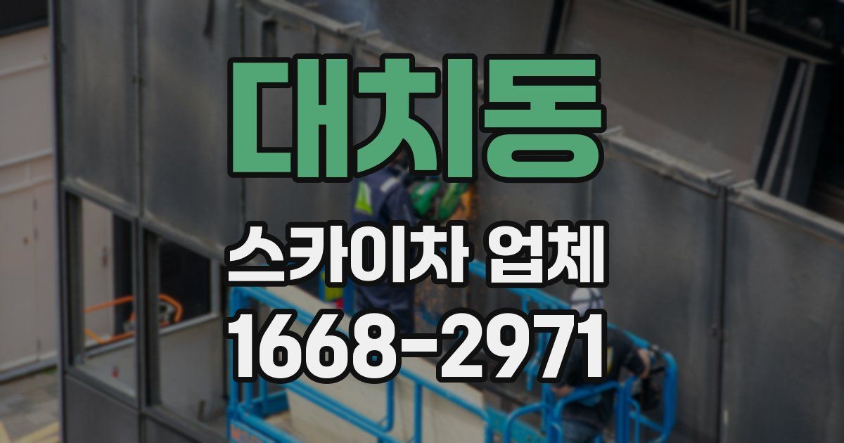 대치동 스카이차 업체