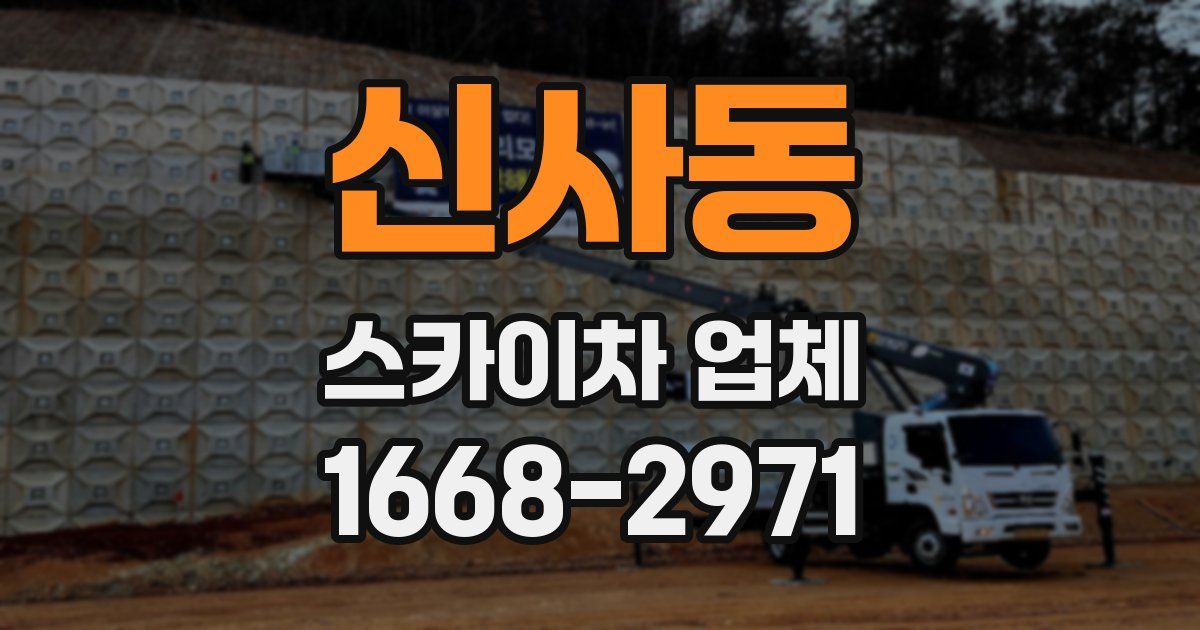 신사동 스카이차 업체